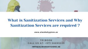 What are Sanitization Companies and Why Do You Need the Sanitization Services?