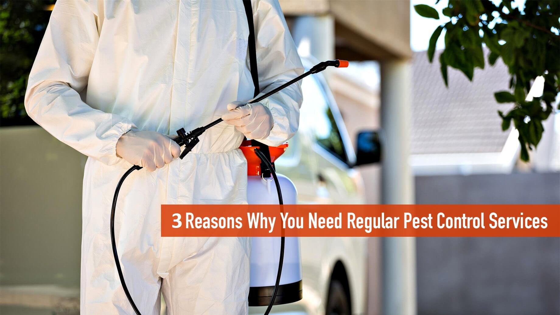 3 Reasons Why You Need Regular Pest Control Services