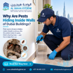Why Are Pests Hiding Inside Walls of Dubai Buildings?