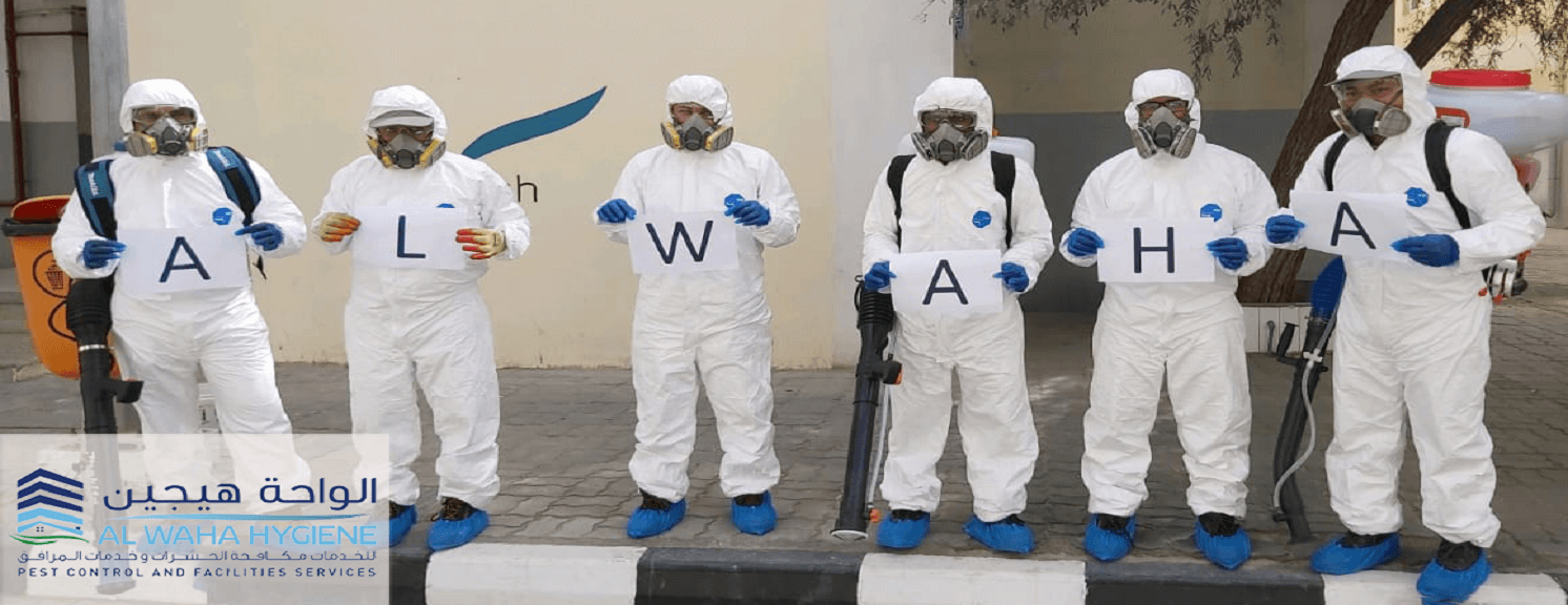 Sanitization Services
