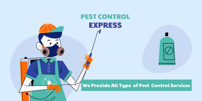 Benefits of Pest Control Service in Dubai