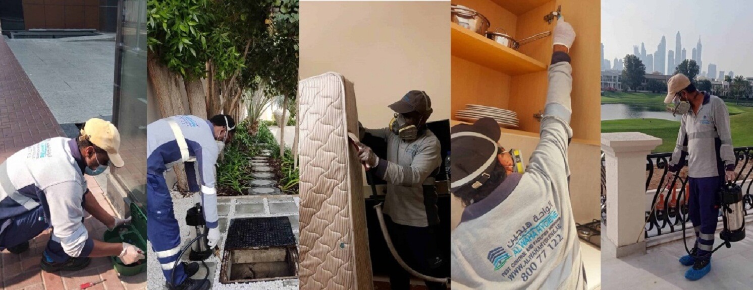 Pest Control Services