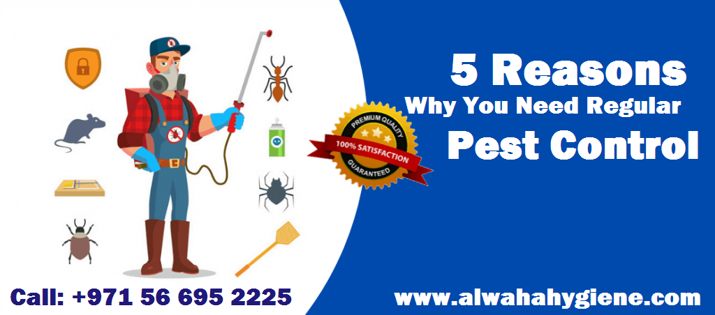 5 Reasons Why You Need Regular Pest Control Services For Home