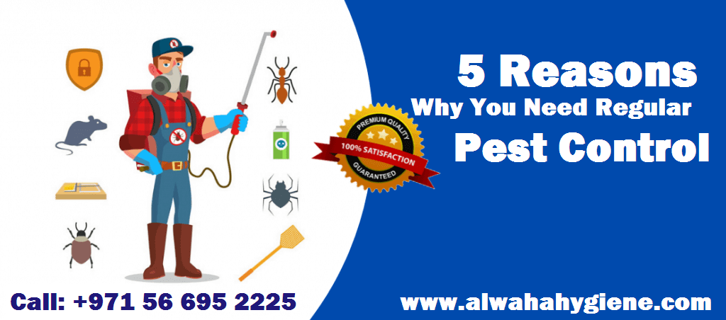 Reasons Why You Need Regular Pest Control Services