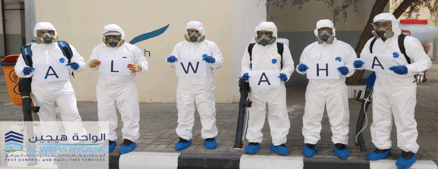 disinfection and sanitization service