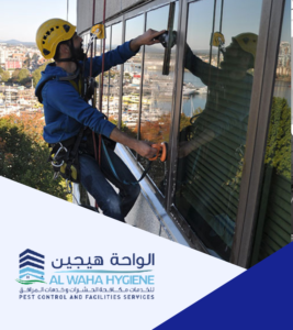 Facade Cleaning
