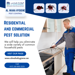 The Best Way to Control Pest in Your Hotel Rooms