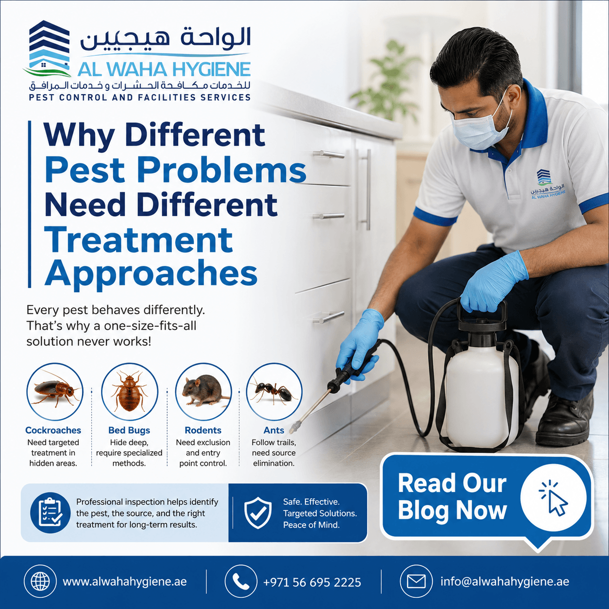 Why Different Pest Problems Need Different Treatment Approaches
