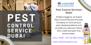 pest control dubai