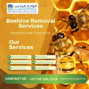 Is Removing the Beehive Yourself a Good Idea?