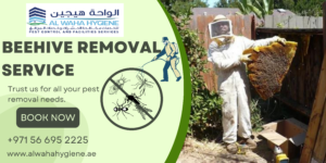 Beehive Removal