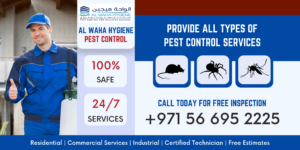 Pest Control Dubai