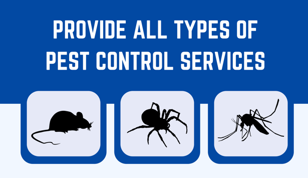 All Type of Pests Control Services in Dubai