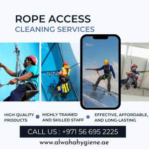 Rope Access Cleaning