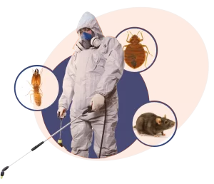 Pest Control Service Dubai