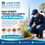 How Dubai’s Climate Can Lead to Pest Problems