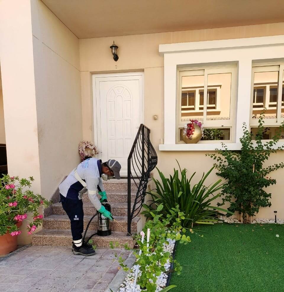 Pest Control Services