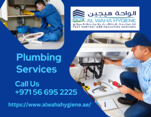 Plumbing Services