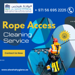 Why Hire Professionals for External Glass Cleaning Services?