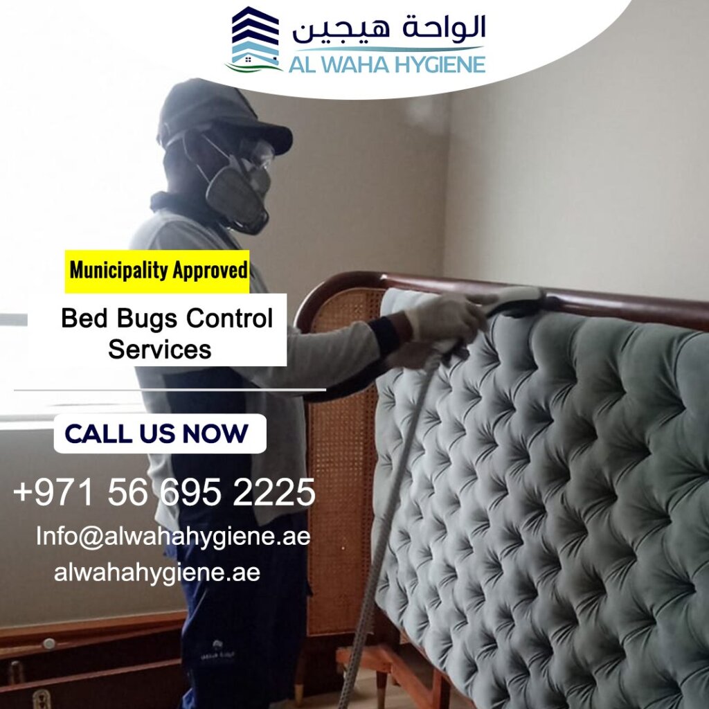 Looking for a Pest Control Service in Dubai that specializes in Bed Bugs?