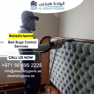 Pest Control Dubai