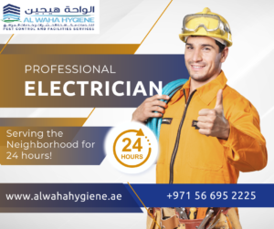 Electrical Work