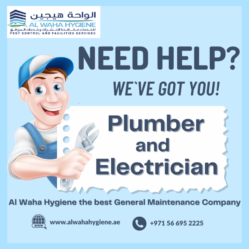 Need a Plumber or Electrician? Check Out Our Services!
