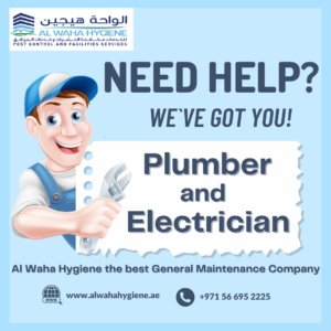 Plumbing Services