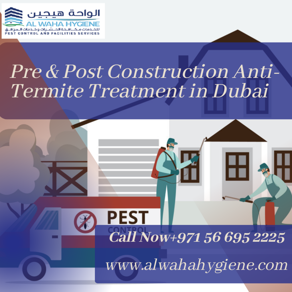 Don’t Let Termites Ruin Your Construction Project – Get Pre and Post-Treatment in Dubai