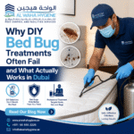 Why DIY Bed Bug Treatments Often Fail and What Actually Works