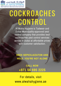 Cockroaches Control Dubai