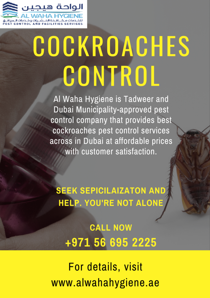Cockroach Infestation? Here’s Why You Need Pest Control Services