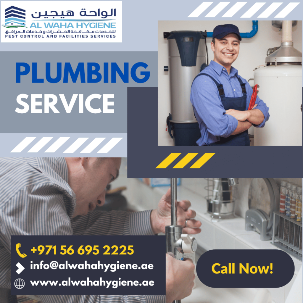 How Hiring A Professional Plumber Can Be Helpful For You