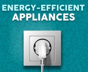 Electrical Services