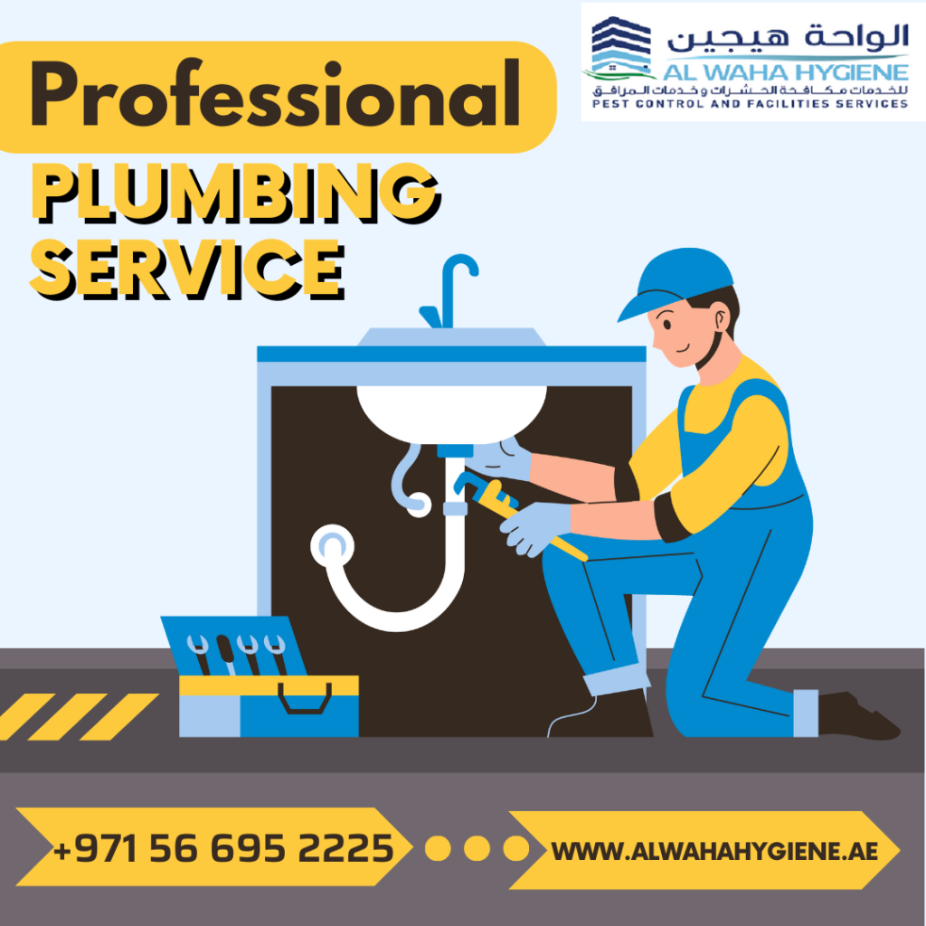 Emergency Plumbing Services – What to Do When You Need Help Right Away