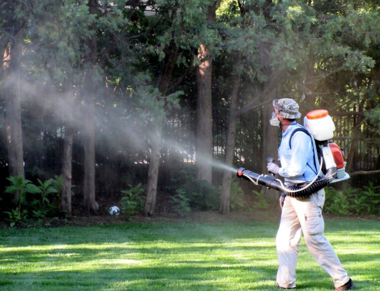 Mosquito Control