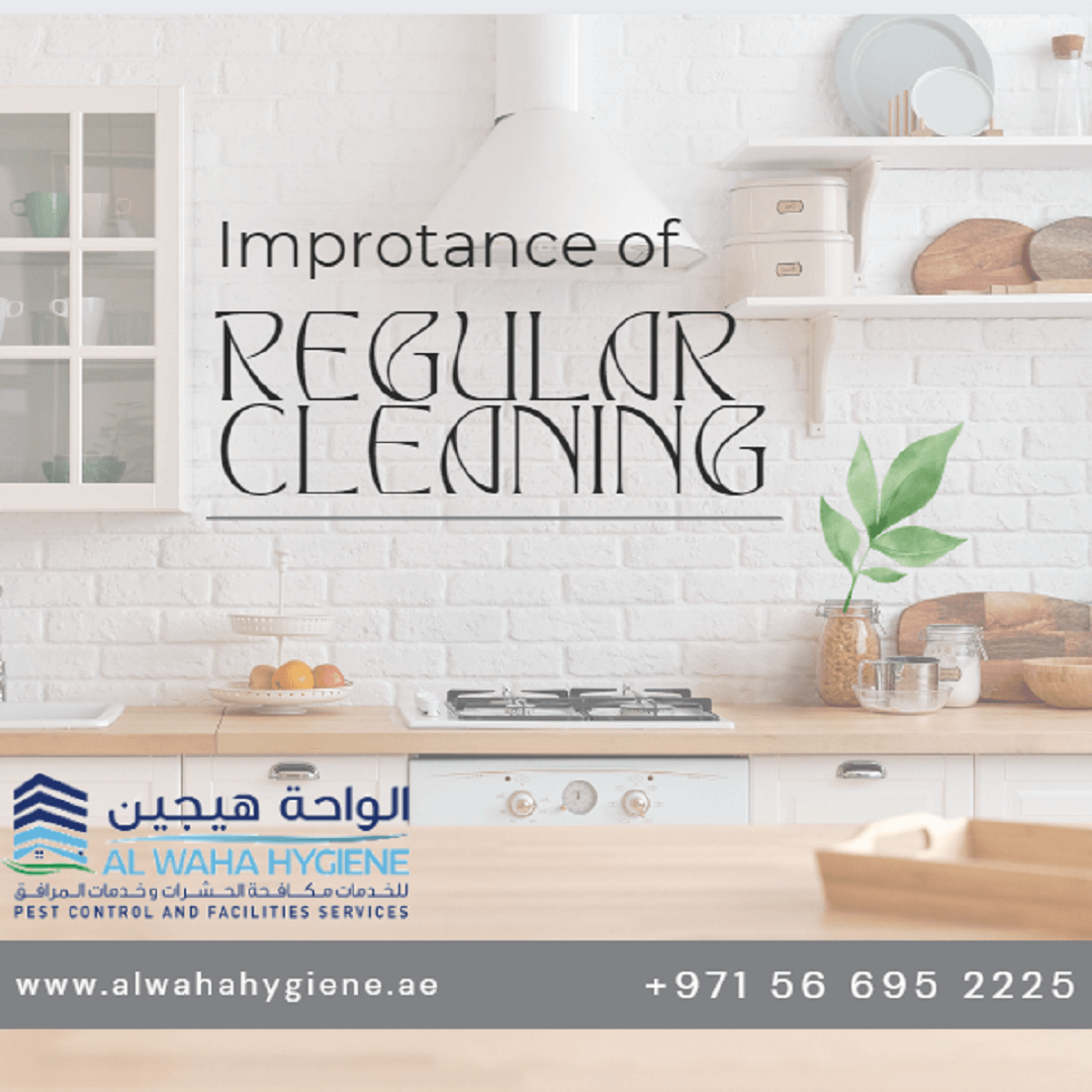 Why You Need Al Waha Hygiene for Your Kitchen Hood Duct Exhaust