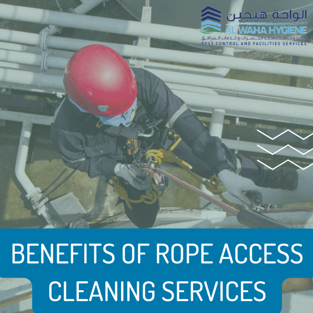 Experience the Best Rope Access Cleaning Service in Abu Dhabi with Al ...