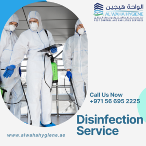 Disinfection Services