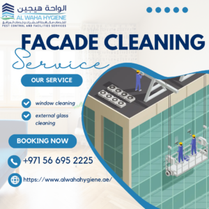 Facade Cleaning