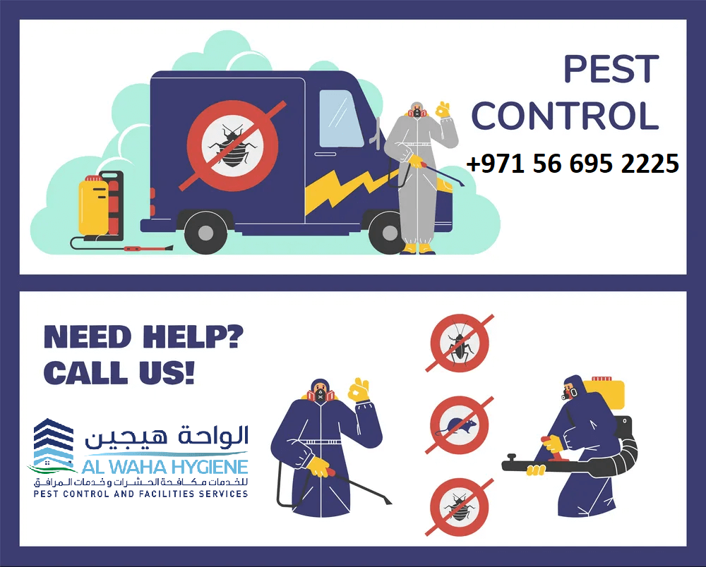 Sleep Tight, Don’t Let the Bed Bugs Bite: Abu Dhabi’s Best Control Services
