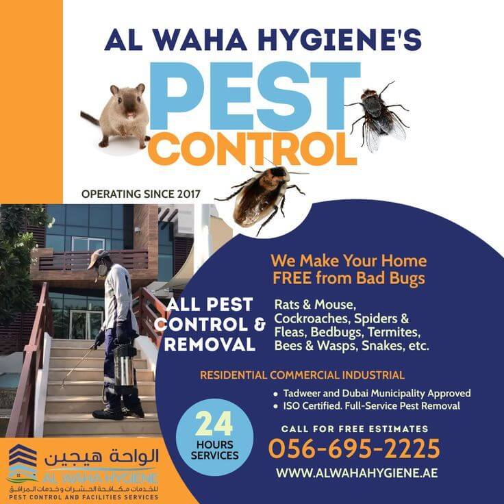 Protect Your Reputation: The Importance of Pest Control for Restaurants in Ajman