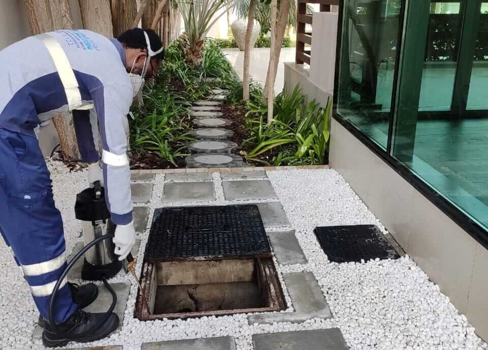 Specialist Pest Control & Facilities Services Provider in UAE
