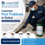 Common Pest Problems in Dubai and How to Deal With Them