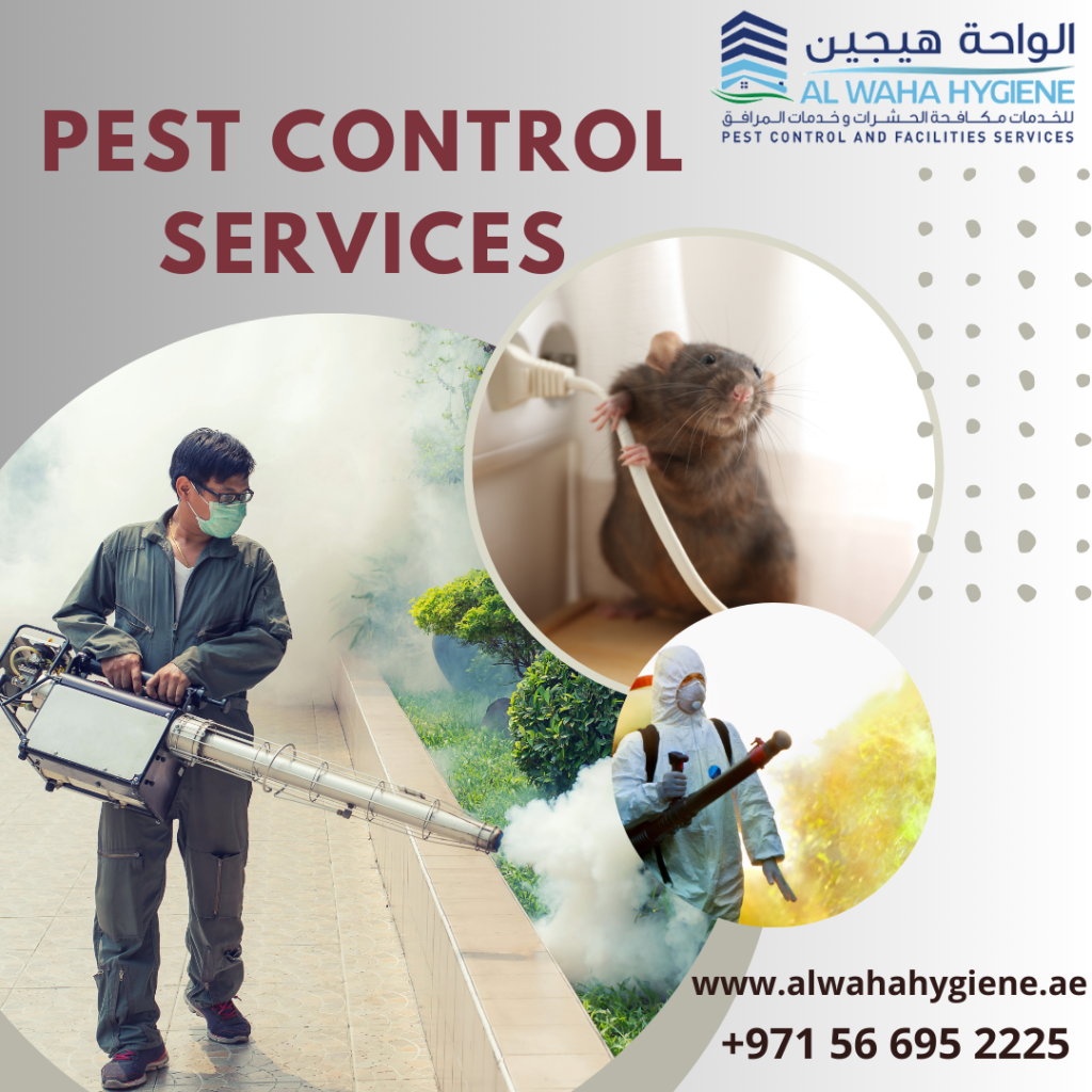 Most Frequent Questions Asked By People Looking For a Pest Control Service