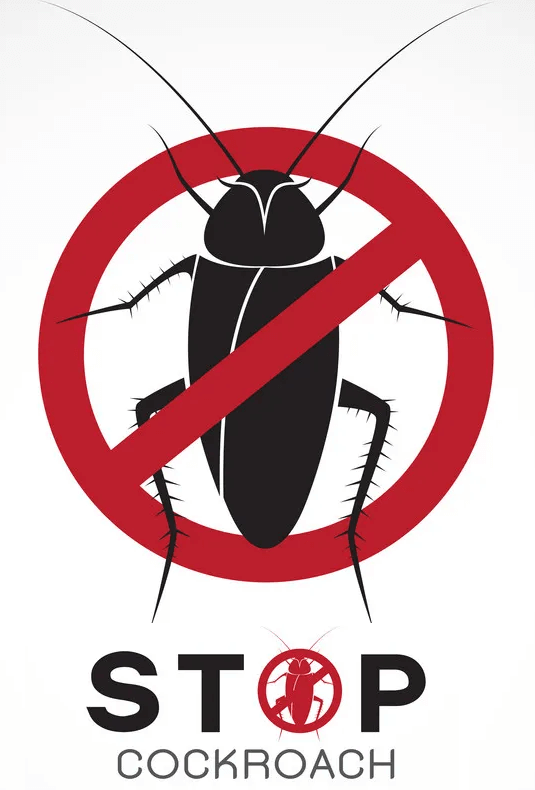 6 Effective Methods to Keep Cockroaches Away from Your Clothing