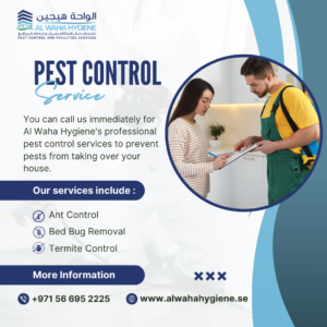 6 Effective Methods to Keep Cockroaches Away from Your Clothing