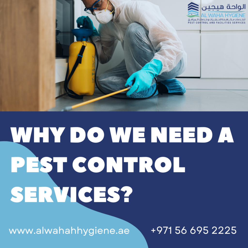 Why Do We Need a Pest Control Services?