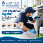 Pest Infestation Again? Possible Reasons Behind the Problem