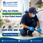 Why Are Pests Suddenly Increasing in Your Dubai Home?